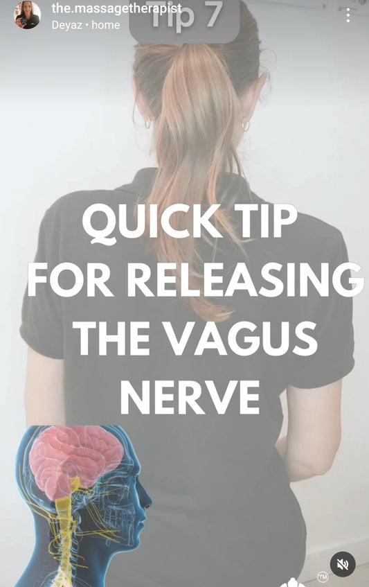 Exploring the Connection Between the Vagus Nerve and Massage Therapy